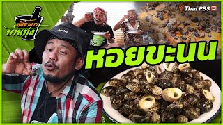หอยขะนน | ภัตตาคารบ้านทุ่ง