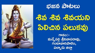 Shiva Shiva Shivayani Pilichina | Telugu bajana patalu | Bhajanalu | Bhakthi patalu | BSR Lakshmi