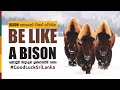 BE LIKE A BISON | Sinhala Motivational Video | Jayspot Motivation