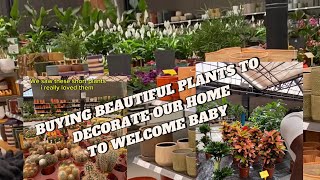 Shoping For Nice Plants To Decorate Our Home To Welcome Baby. #childbirthinthenetherland #netherland