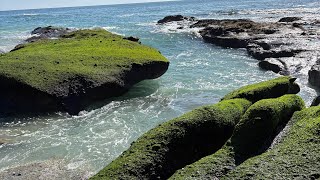 Me and my friend found rings on the beach metal detecting ￼