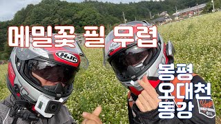 메밀꽃 필 무렵/봉평 정선 부부탠덤 데이트/쫄보 모해의 라이더 일기 Ep #114