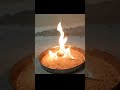 Amazing Science Experiment With Sugar // Black Fire Snake Experiment !! #DeeprajExperiments #shorts