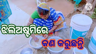 ଝିଲିଅଷ୍ଟମୀ ରେ କଣ କରୁଛନ୍ତି💞ଓଡ଼ିଆ ବ୍ଲୋଗ | odia vlog | odia video YouTube channel #odiavlogger#odia