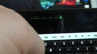 Nokia N9 runs Ruby (irb)