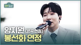 [장유정의 달하정원] 양지원 - 봉선화 연정 l JTV MUSIC