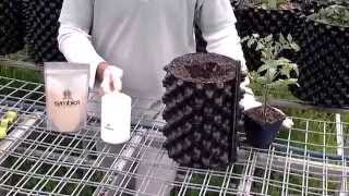 Symbiot® Mycorrhizal Fungi Inoculation demo