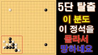 [5단 탈출] 이 분도 이 정석을 몰라서 망하네요  #실전바둑 #baduk