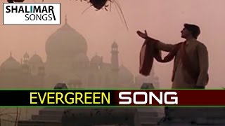 Evergreen Hit Video Song of The Day 25 || Roja Roja Video Song || Shalimarcinema