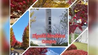 Colorful autumn at Hiroshima University