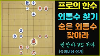 [프로의 한수] 숨은 외통수 찾기!!   (슈이비닝 장기)