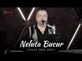 Neluta Bucur | COLAJ NOU PETRECERE 2024 | Melodii Noi Neluta Bucur 2024