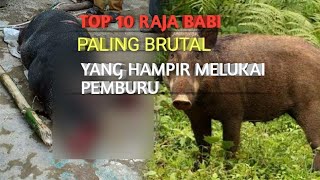 10 RAJA BABI PALING BRUTAL YANG HAMPIR MEMBUNUH PEMBURU