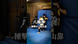 捶撃から鉄山靠　八極拳2連撃　 #八極拳#鉄山靠 #中国武術 #bajiquan