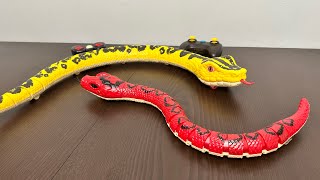 Terra RC Snake Giant Anaconda VS Rainbow Boa Toys Unboxing