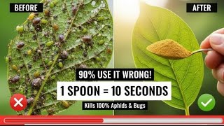 Stop using pesticides! Use this instead
