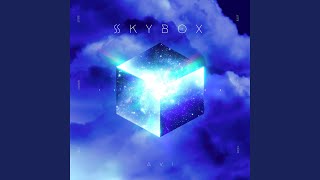 SKYBOX