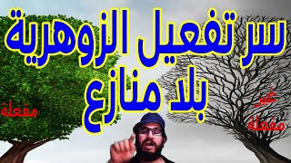 مفتاح تفعيل الزوهرية بلا منازع