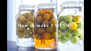 3種類のお酒で梅酒仕込み｜How to make UMESHU(Plum Wine)