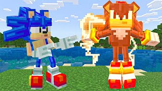 MINECRAFT - SONIC the HEDGEHOG ADD-ON