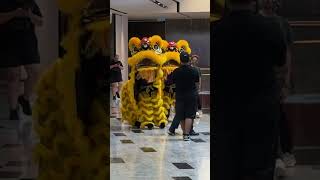 Lion Dance |The Exchange TRX  Kuala Lumpur