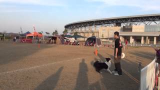 ２０１4年11月24日NDAG2三木防災公園月曜日スーパークラス決勝ラウンド