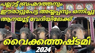 വൈക്കത്തഷ്ടമി 2024 പല്ലാട്ട് ബ്രഹ്മദത്തനും ഈരാറ്റുപേട്ട അയ്യപ്പനും ഒന്നിച്ചു ആനയൂട്ട് വേദിയിലേക്ക്