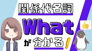 ちょっと特殊な関係代名詞whatの使い方：thatやwhich等との違いは？[026]