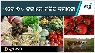 ୭୦ ଟଙ୍କାରେ ସରକାର ଦେବେ ଟମାଟୋ l TOMATO PRICE l FCI l WEATHER NEWS l  CENTRAL GOVT l ODIA NEWS UPDATE