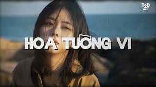 Hoa Tường Vi | Nhạc Lofi Tâm Trạng 2025 - T2D Lofi | Nhạc Chill Dành Cho Người Cô Đơn