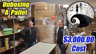 Unboxing an entire pallet of Nightmare before Christmas - We Paid $3,000.00 For all of these items.