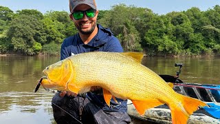 É TANTO DOURADO QUE CHEGAM A BRIGAR PELA ISCA  | RIO IGUAÇU | EPISÓDIO 7 | PESCARIA