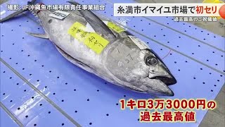 イマイユ市場で初セリ　メバチマグロに過去最高値の1キロ3万3千円のご祝儀値 (25/01/04 17:55)