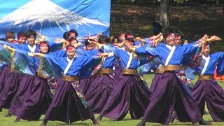 静岡大　お茶ノ子祭々　2018　挑常　第16回　あっぱれ富士　2018　芝生会場