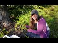 harvesting alaska s wild berries homemade jams and dessert