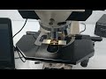 zeiss axioplan phase contrast microscope 24666