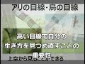 【夫婦と家系】深刻な日本の結婚事情