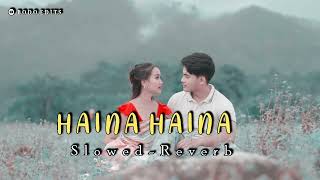 Haina Haina // New Bodo Slowed x Reverb Song @Bodoedits