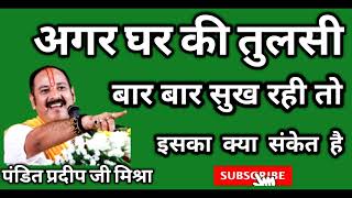 अगर घर की तुलसी बार-बार सूख रही तो इसका क्या संकेत है //पूज्य पंडित प्रदीप जी मिश्रा सीहोर वाले