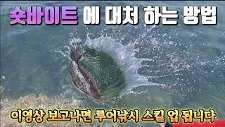 루어 낚시 중에  숏바이트 가 난다면 이제 이렇게 해보세요!