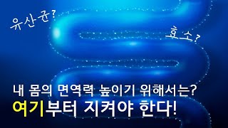 면역 세포 70~80%가 분포하는 장 관리! 내 몸 관리법