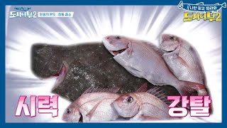 열려라 참.돔. 준현의 눈부신 참돔 '이건 너와 나의 돔부격차' | 도시어부 시즌2 48 회