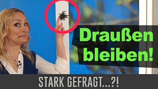 Insektenschutz für Ihr Zuhause - diese Möglichkeiten gibt es!