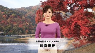 【京都府編】日本代協 損害保険トータルプランナー 2018年度プロモーション（3つの安心とねづっち47都道府県ご当地なぞかけ）