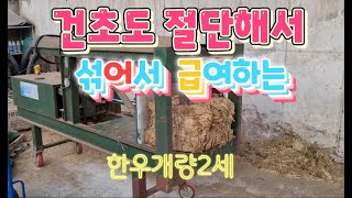 건초를 절단해서 급여하는 젊은 2세 한우개량농가