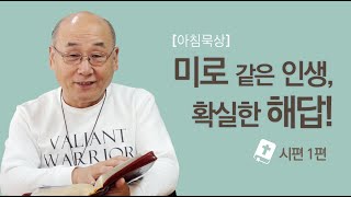 미로 같은 인생,  확실한 해답! (시편1편) 김용의선교사 |채널ANSer|