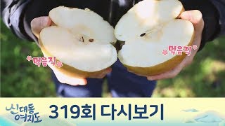 배 농사로 억대 매출! 달콤한 배 맛의 비결은 '무봉지 재배'?! | 신대동여지도 319회 다시보기