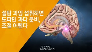 설탕 과잉 섭취하면 도파민 과다 분비, 조절 어렵다 - (2015.10.14_557회 방송)_3대 식품논쟁 1편 설탕의 경고