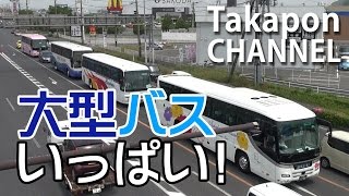 バス バス バス！ 大型バスいっぱい！ 23分間ずっとバス  bus video  Tourist bus in JAPAN 2017 タカポンチャンネル