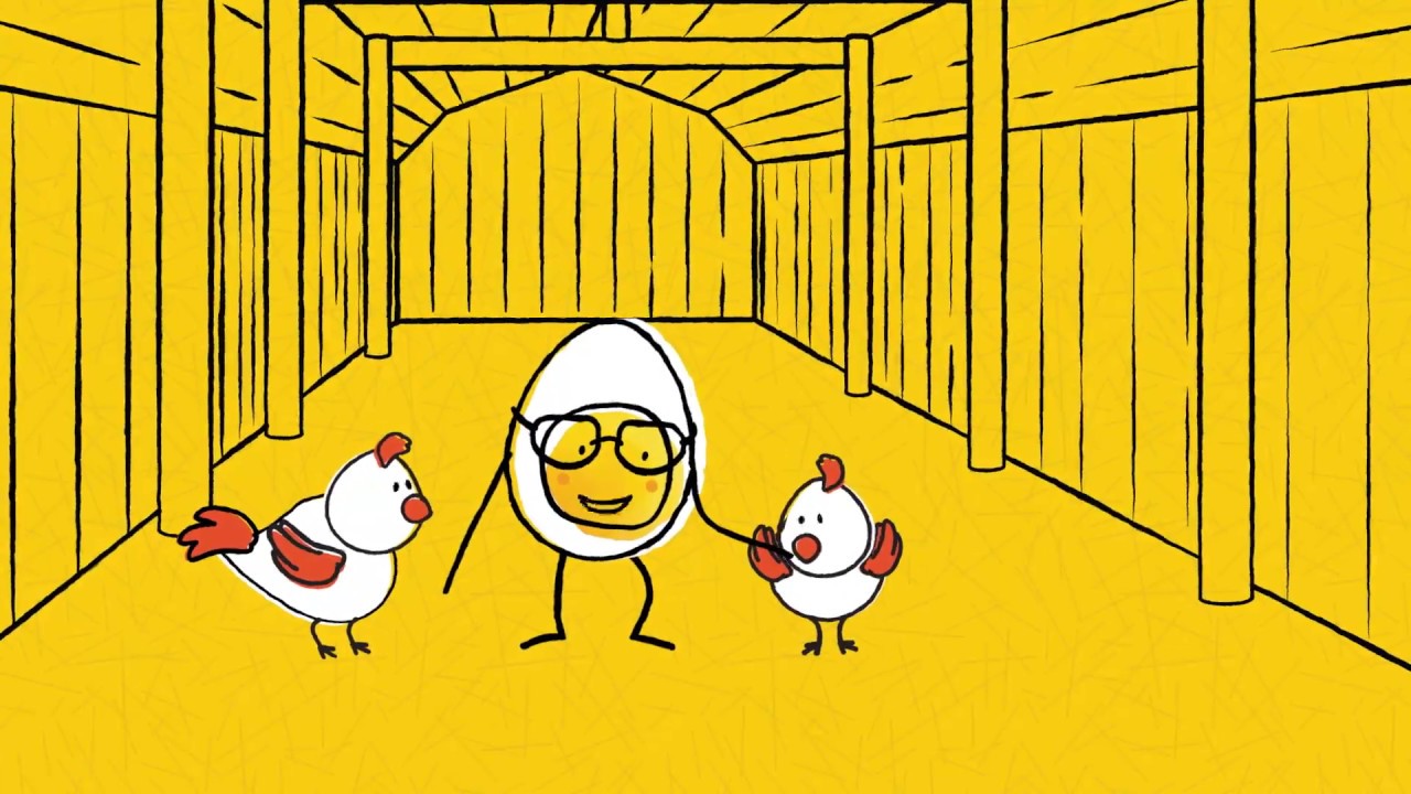 Barn Laid Eggs Golden Eggs